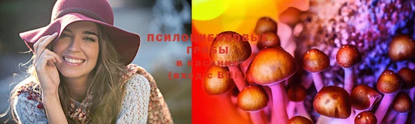 ешки Абинск